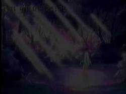 8117016 B