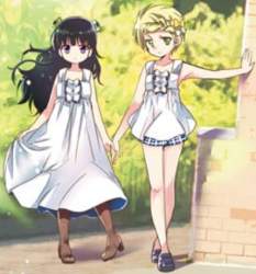 86555 B