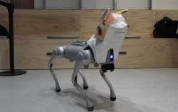 38271 B