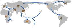 125945 B