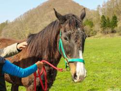 122001 B