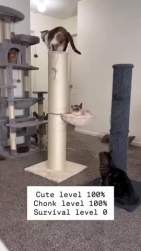 555775 B
