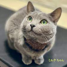 6397 B