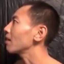 55543 B