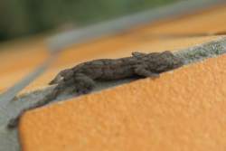 940032 B