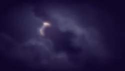 8126982 B
