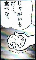 24972 B