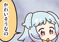 45877 B