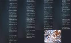 2984685 B