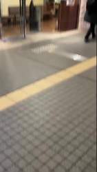 7289923 B