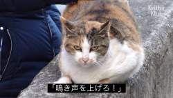 227521 B