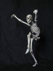 34197 B