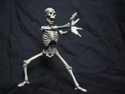 40529 B