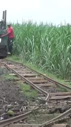 4469714 B