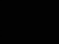 2973585 B