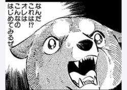 86584 B