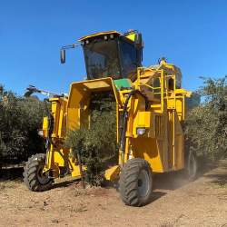 78834 B