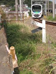 511444 B
