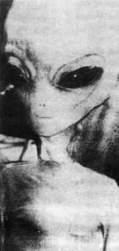 8296 B