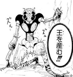 79817 B