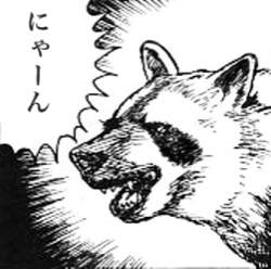 44634 B