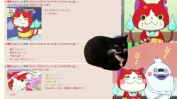 4247343 B