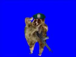 7119 B