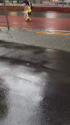2903902 B