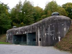295386 B
