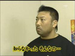 74681 B