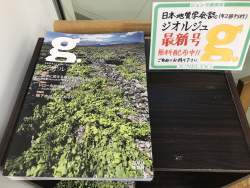 694981 B