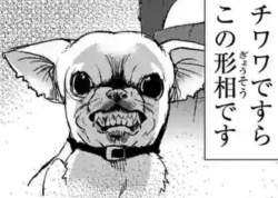 190698 B