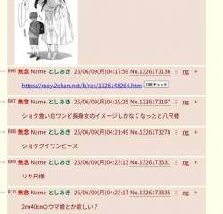 86233 B