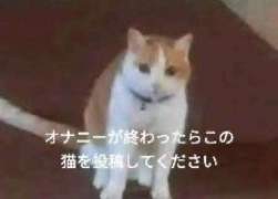 15113 B