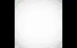 1048778 B