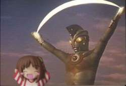 28246 B