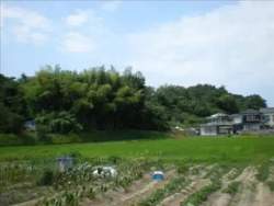 5400597 B