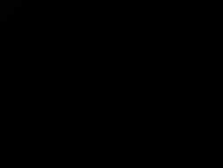 4899219 B