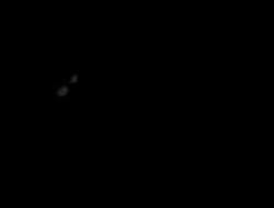 5435506 B