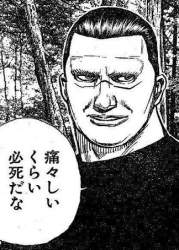 49334 B