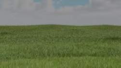 2009800 B
