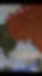4280041 B
