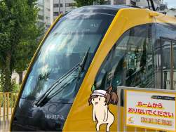 447085 B