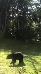 3576322 B