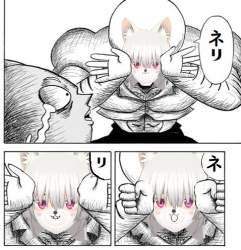 116096 B