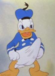 9568 B