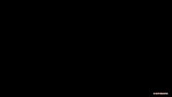 2499805 B