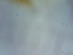 8173727 B