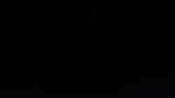 7658784 B