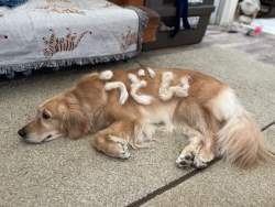 565523 B